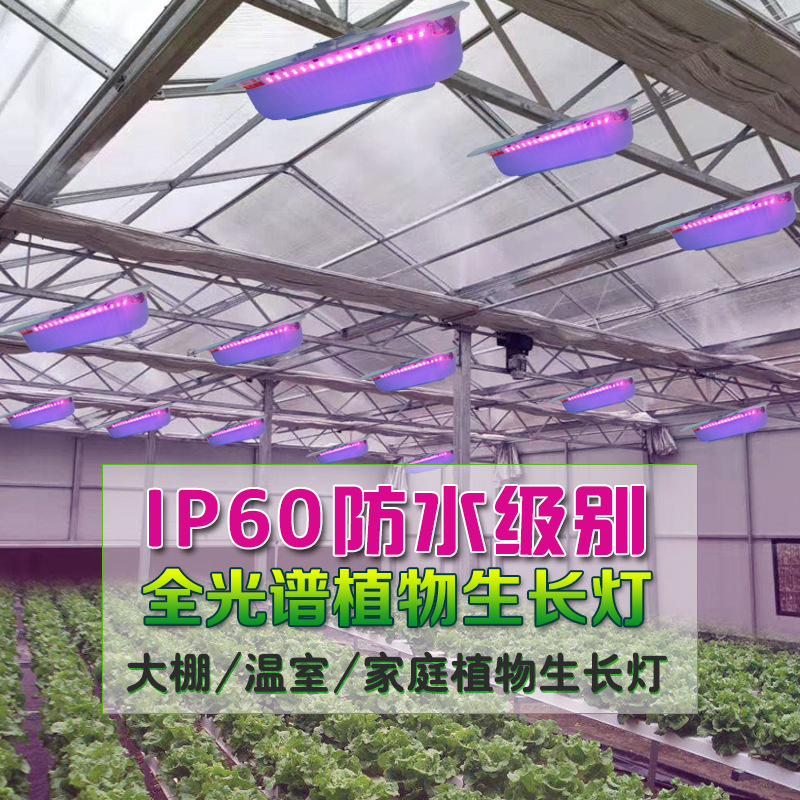 50W工矿植物灯 大棚植物补光灯 蔬菜补光灯 西红柿补光灯 火龙果补光灯