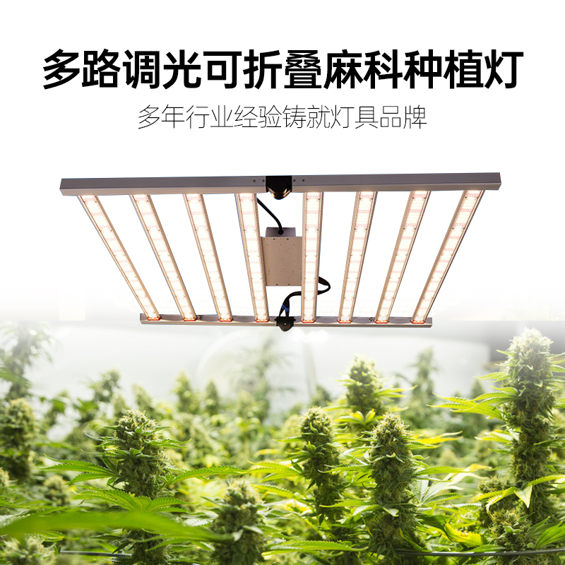 led植物灯_led植物生长灯_led植物补光灯_led麻药种植灯_led麻药生长灯